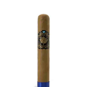 Casa Nicaragua Five B Gordo Cigar