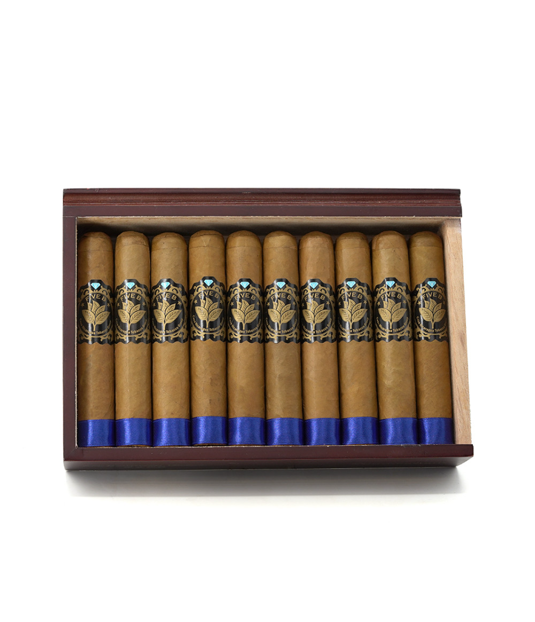 Casa Nicaragua Five B Robusto Extra Cigar - Image 4