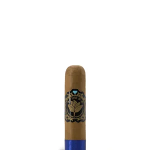 Casa Nicaragua Five B Short Gordo Cigar