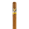 Cohiba Siglo II Cigar