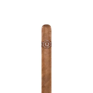 Padron 2000 Cigar